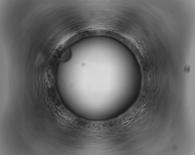 X0000101230871200806271509