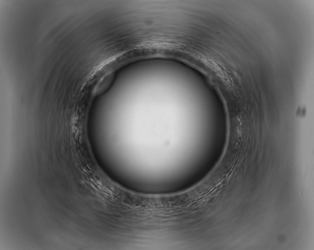 X0000101230872200806271509