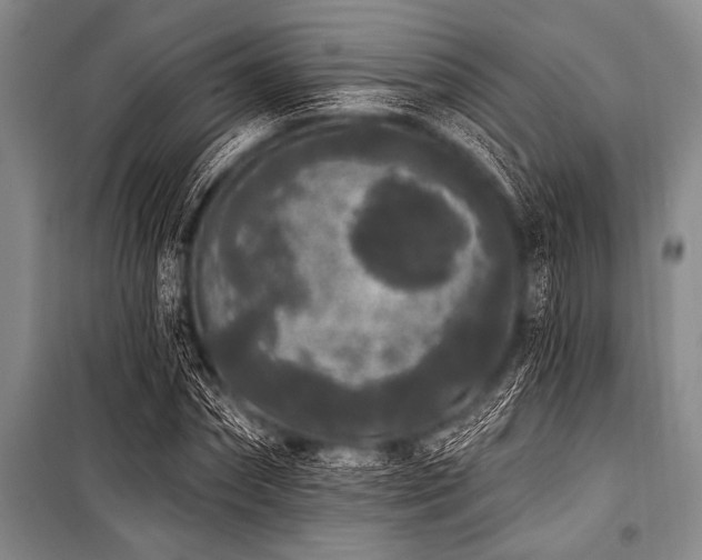 X0000101230874200806271509