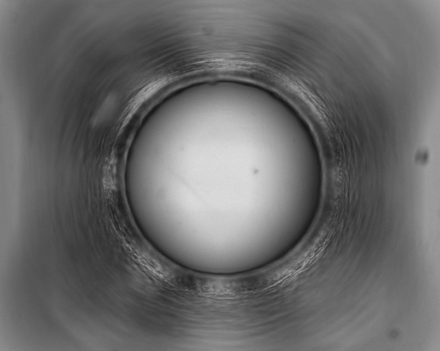 X0000101230875200806271509