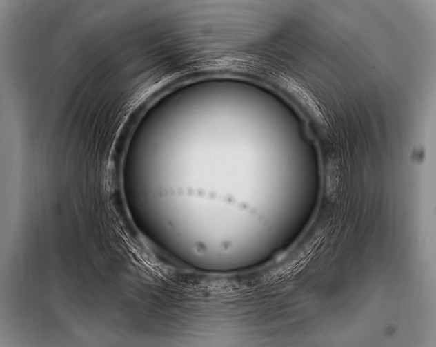 X0000101230876200806271509