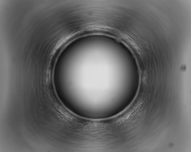 X0000101230877200806271509