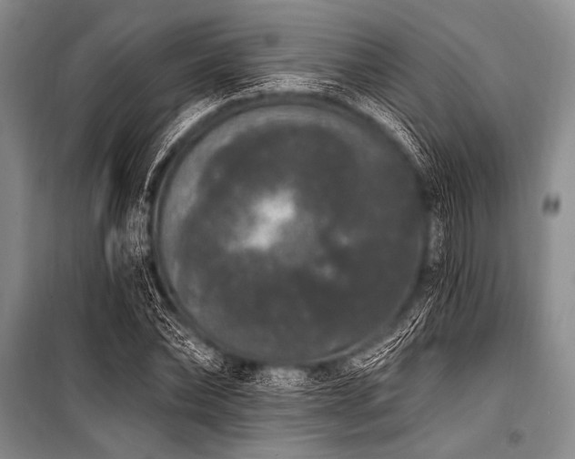 X0000101230878200806271509