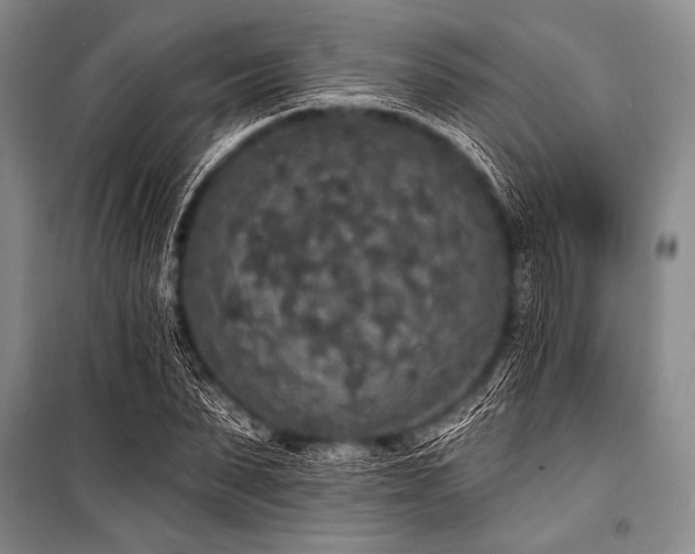 X0000101230879200806271509