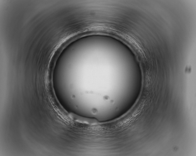 X0000101230880200806271509