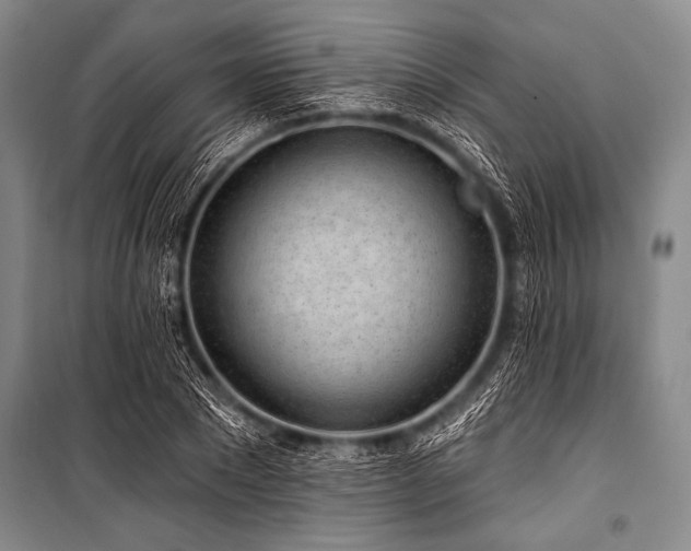 X0000101230881200806271509