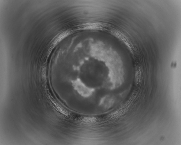 X0000101230882200806271509