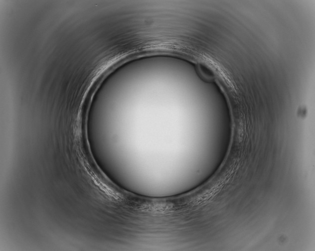 X0000101230884200806271509
