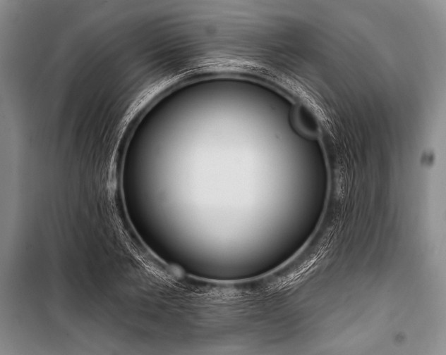 X0000101230885200806271509