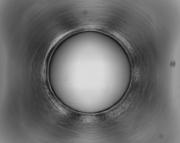 X0000101230886200806271509