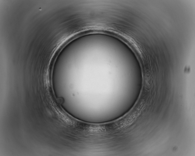 X0000101230887200806271509