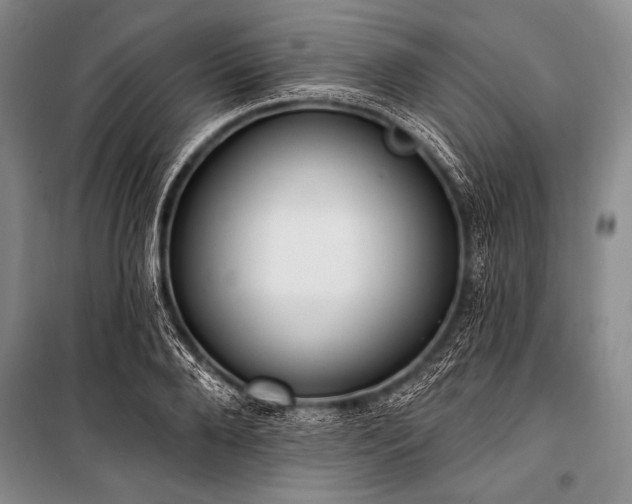X0000101230888200806271509