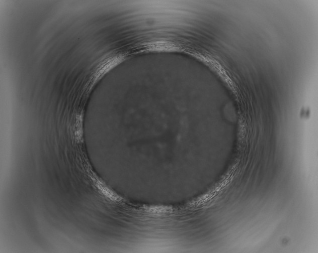 X0000101230889200806271509
