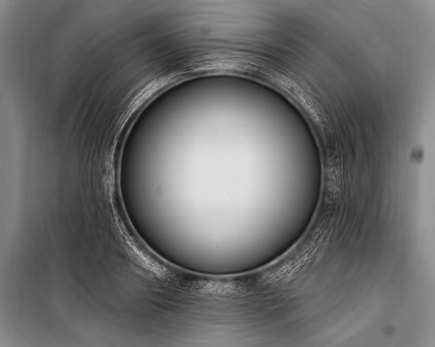 X0000101230890200806271509