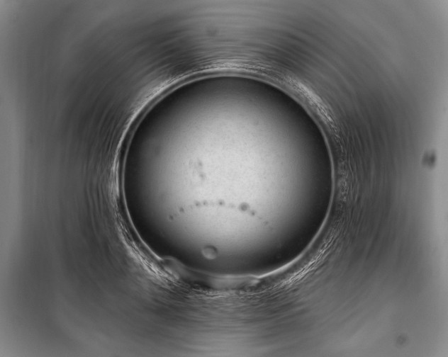 X0000101230892200806271508