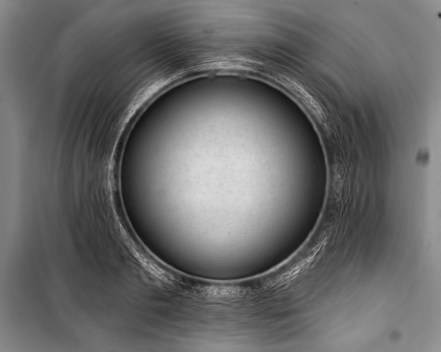 X0000101230893200806271508