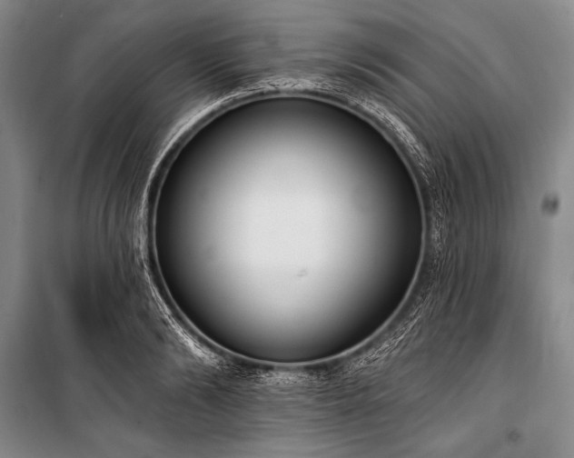 X0000101230894200806271508