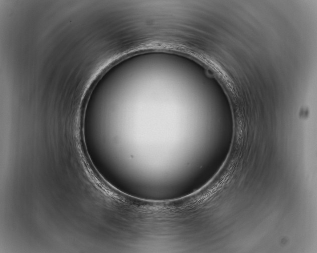 X0000101230896200806271508