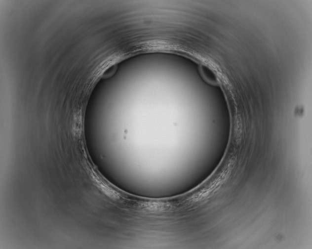 X0000101230897200806271508