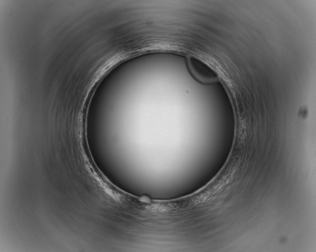 X0000101230898200806271508