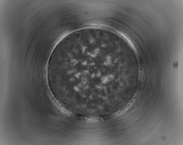 X0000101230899200806271508