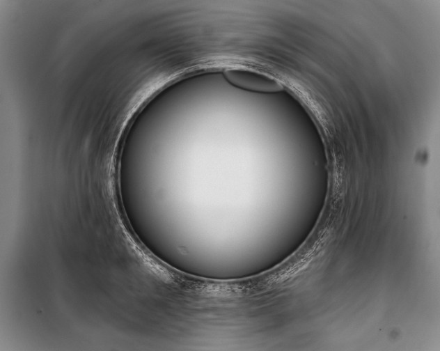X0000101230901200806271508