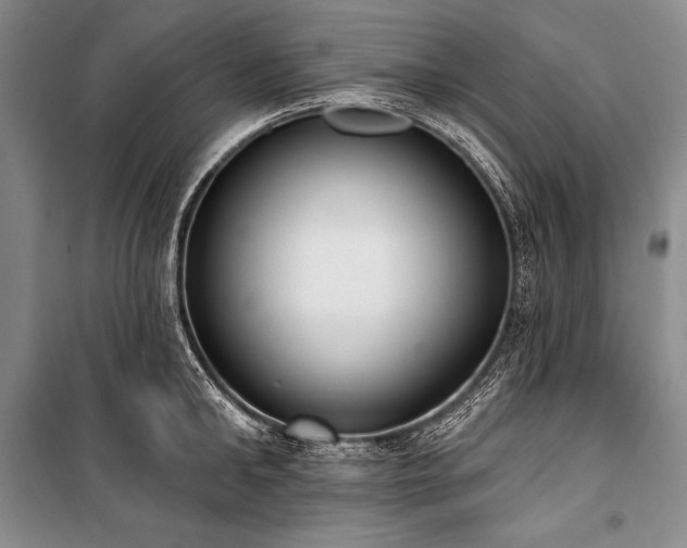 X0000101230902200806271508
