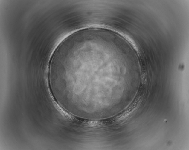 X0000101230903200806271508