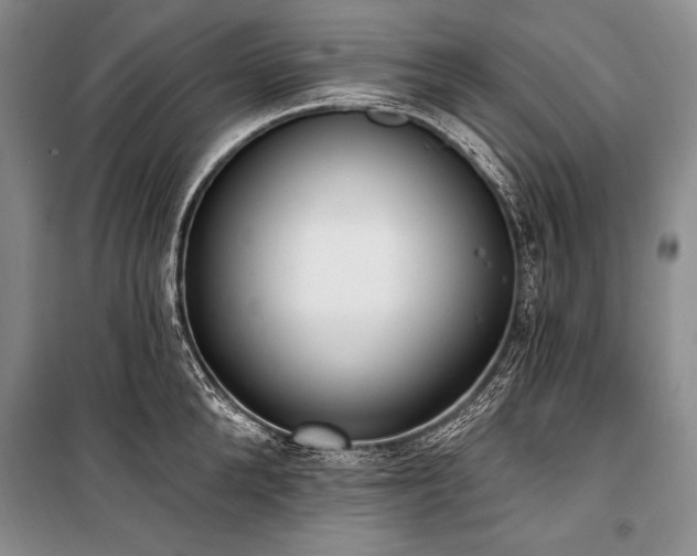 X0000101230904200806271508