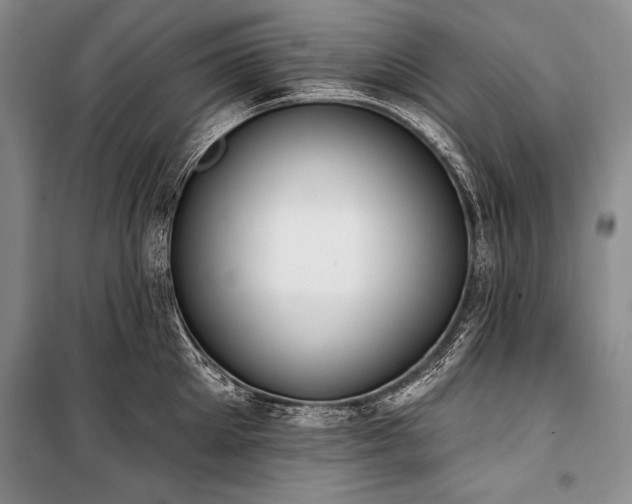 X0000101230905200806271508