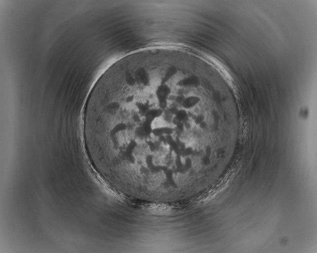 X0000101230907200806271508