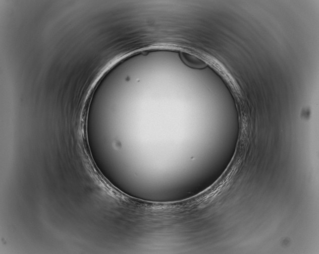 X0000101230908200806271508