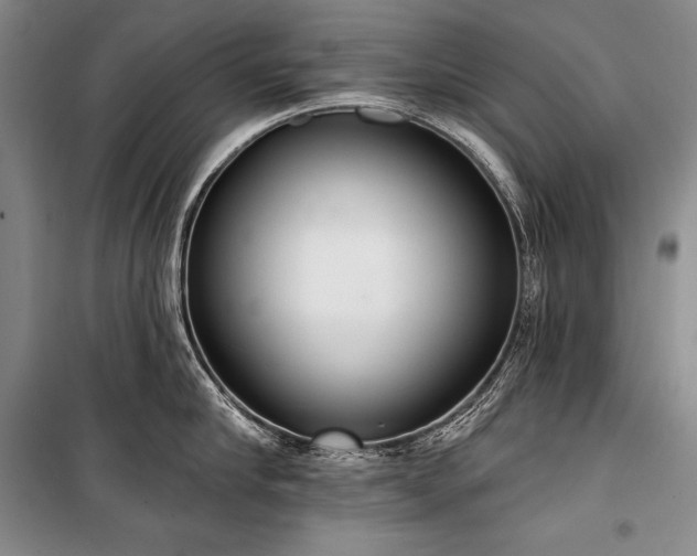 X0000101230910200806271508