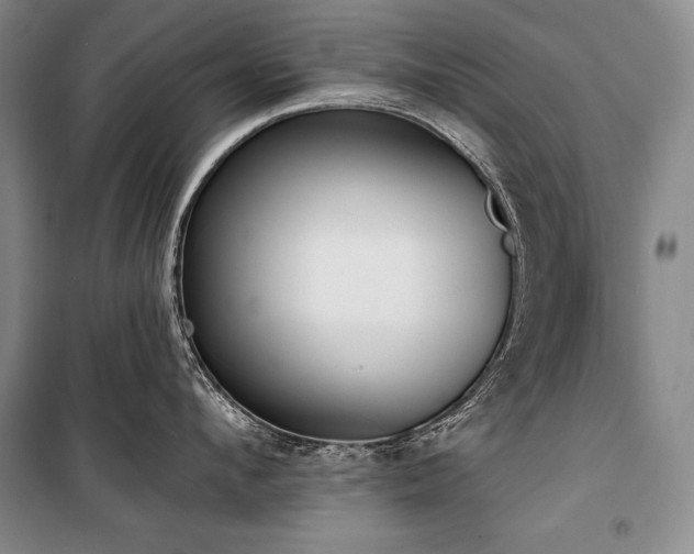 X0000101230912200806271508
