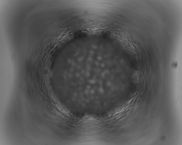 X0000101230913200806271507