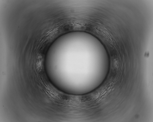 X0000101230914200806271507