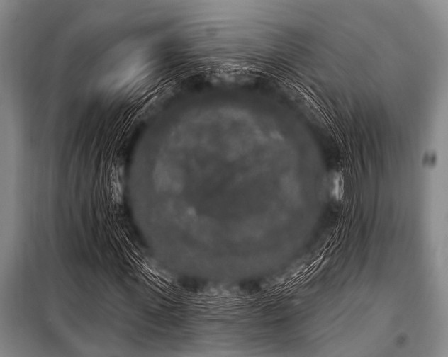 X0000101230915200806271507
