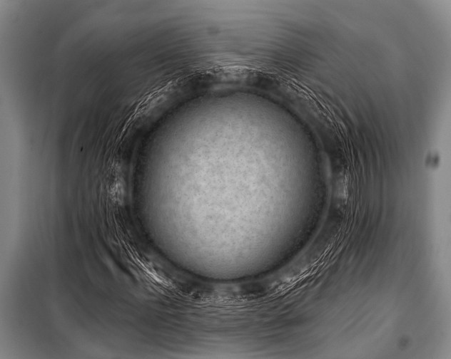 X0000101230916200806271507