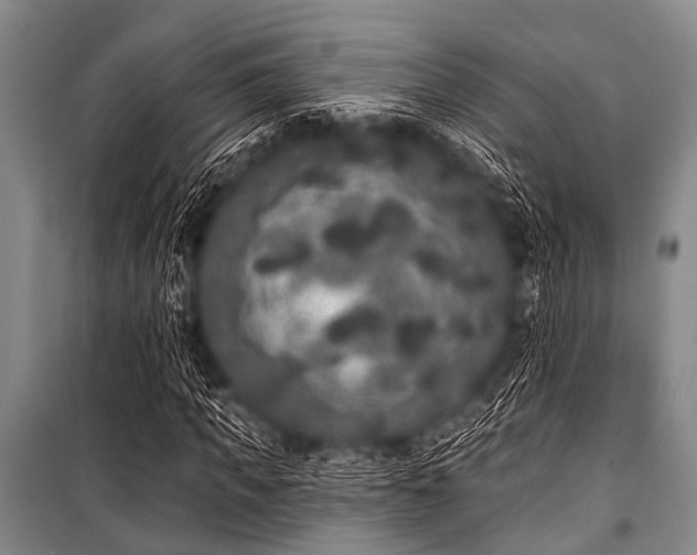 X0000101230917200806271507