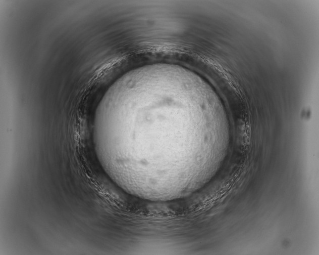 X0000101230918200806271507