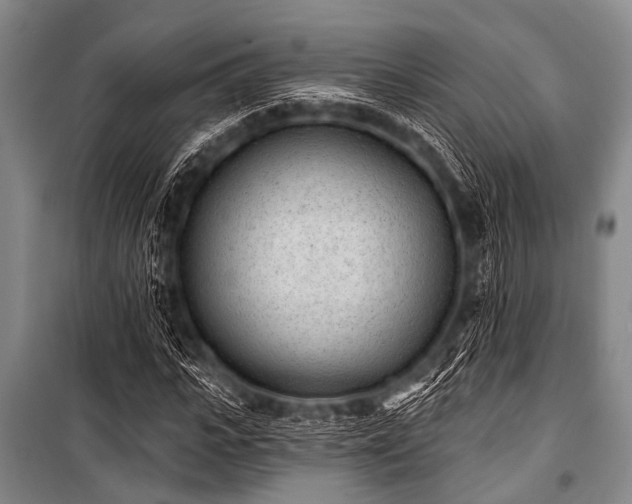 X0000101230919200806271507