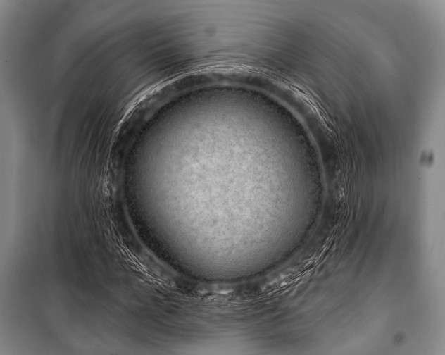 X0000101230920200806271507