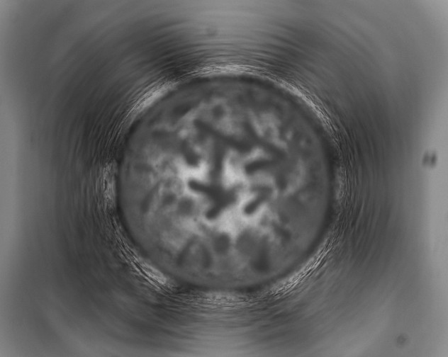 X0000101230921200806271507