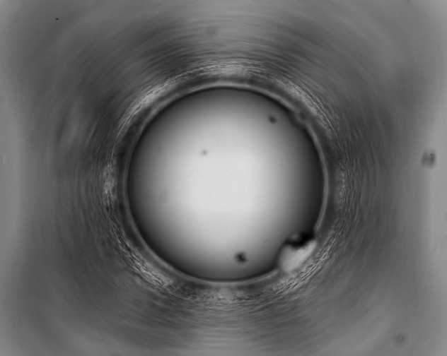 X0000101230922200806271507