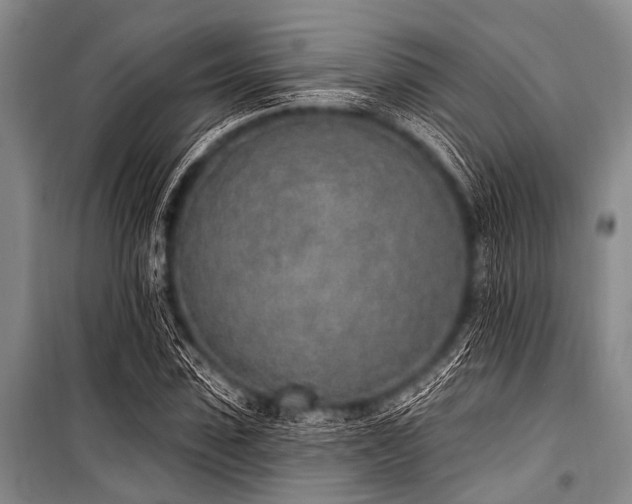 X0000101230923200806271508