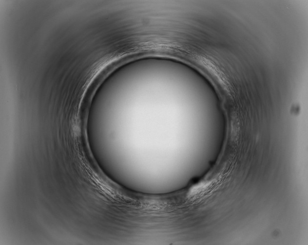 X0000101230924200806271508