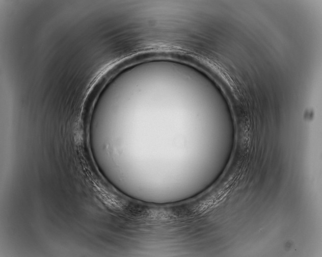 X0000101230927200806271508