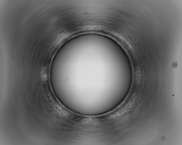X0000101230929200806271508