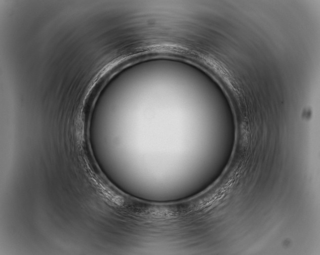 X0000101230931200806271508