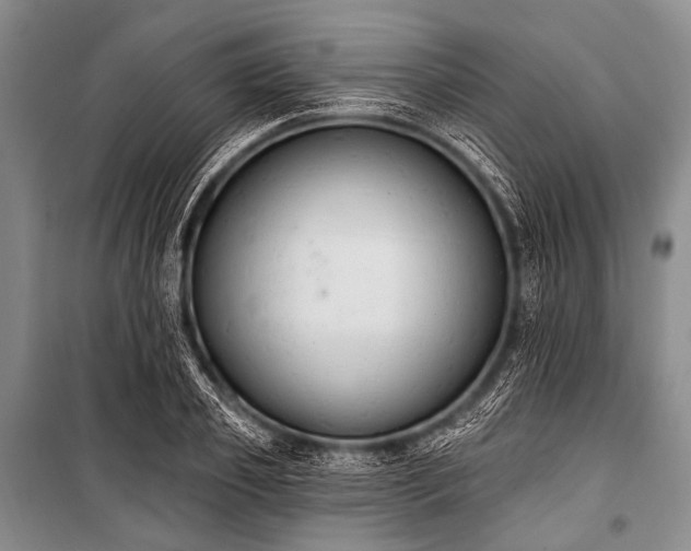 X0000101230933200806271508